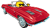 :auto